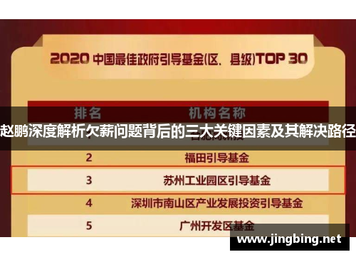 赵鹏深度解析欠薪问题背后的三大关键因素及其解决路径